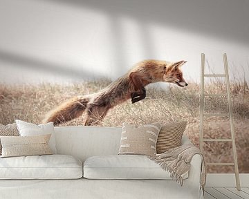 Red fox hunting | nature photography | wildlife by Laura Dijkslag