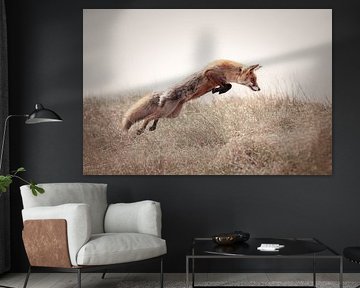 Hunting red fox | Amsterdam water supply dunes | nature photography | wildlife by Laura Dijkslag