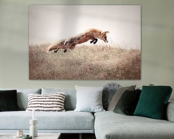 Red fox hunting a mouse | Wildlife | nature photography by Laura Dijkslag
