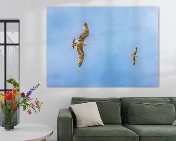 Vrijheid in de Lucht: Meeuwen tegen Helderblauwe Hemel van Triki Photography