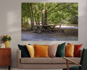 Servië : Davolja Varos Kursumlija van Photoart-Naegele