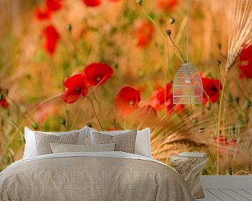 Poppy dreams in the wheat field by Friedhelm Peters