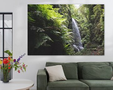 Waterval in La Palma, Spanje van Simone Diederich