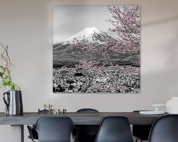 Betoverend uitzicht op Fuji tijdens de kersenbloesem | colorkey van Melanie Viola