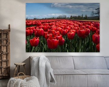 Hollands tulpenveld van Saskia Bon