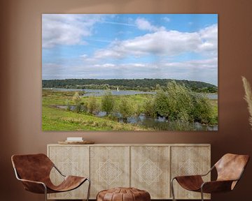 Opheusden Nederland.  Uitzicht over de Nederrijn met in de verte de Grebbeberg. van Richard Wareham