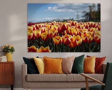 Tulpenveld von Saskia Bon