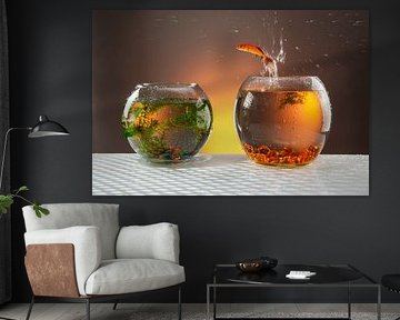 leaping goldfish