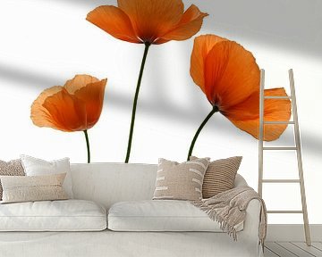 Drei Mohnblumen Kunst von Herman Peters