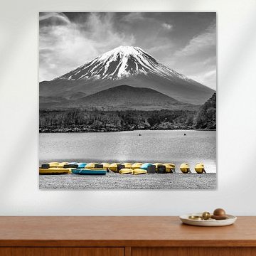 Charmant lac Shoji avec le majestueux Fuji | colorkey