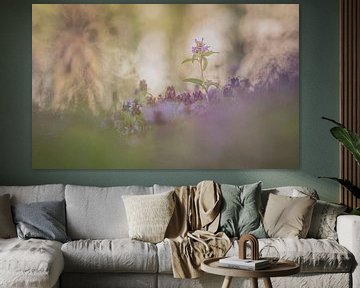 De natuur in een droombeeld. van Robby's fotografie