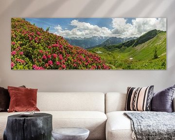 Alpenrozenpanorama op de Fellhorn van Walter G. Allgöwer