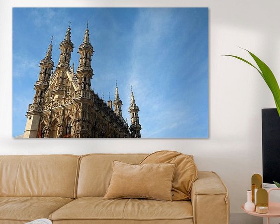 Aperçu de la chambre