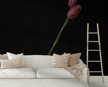 Tulips, intertwined by Ees Hoving