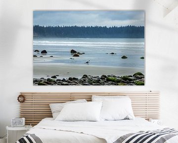 Strand op Vancouver Island aan de westkust van Canada