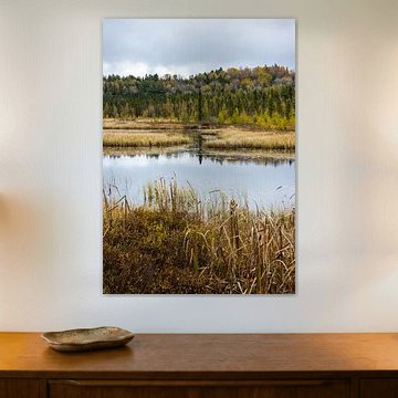 Algonquin Provincial Park in Ontario, Canada