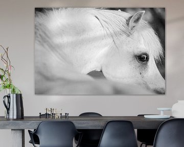 Paard Diep in de Ziel Intrigerend Paarden portret van Femke Ketelaar