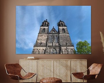 Magdeburger Dom van Richard Wareham
