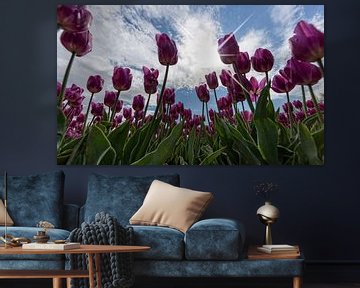 Tulipes et ciel néerlandais .. sur Miranda van Hulst