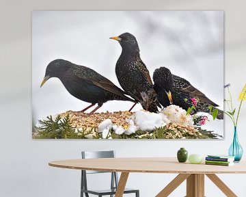 Birds at the garden feeder by Claude Laprise