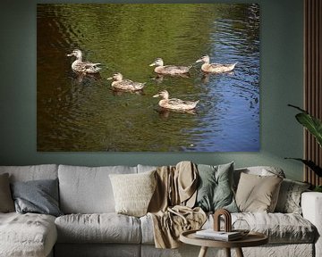 Ducks on a pond by Claude Laprise