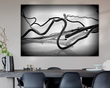 Composition Zen
