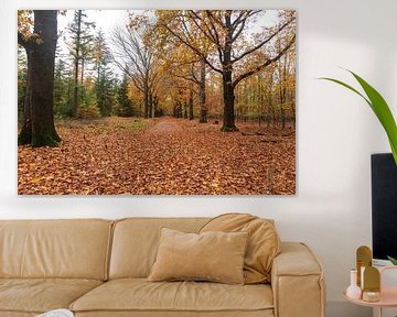 Autumn picture by Merijn Loch