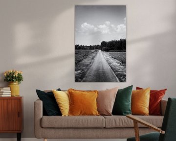 The road ahead (black and white)