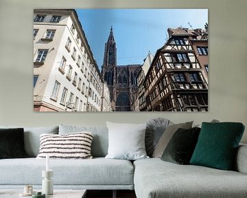 Cathédrale Notre Dame de Strasbourg van Richard Wareham