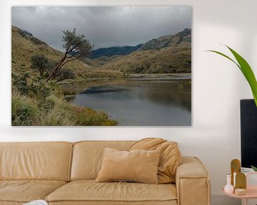 Parque Nacional El Cajas Ecuador by Richard Wareham