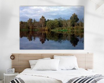 River Emujogi at Tartu van Richard Wareham