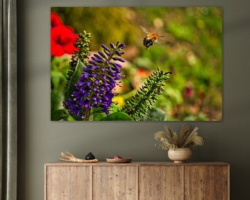 Hommel vliegt op een bloem om nectar te verzamelen