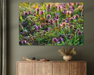 Hommel vliegt op een bloem om nectar te verzamelen