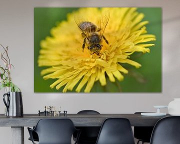 Abeille sur une fleur en train de récolter du nectar