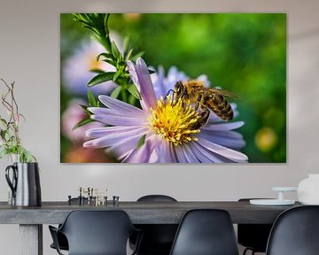 Bij op een bloem die nectar verzamelt
