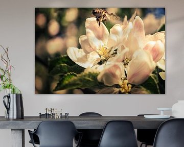 Bij vliegt op een bloem om nectar te verzamelen