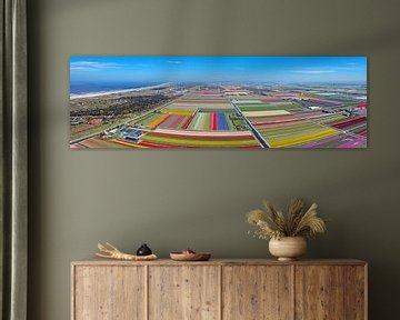 Aerial panorama of tulip fields near the North Sea in the Netherlands by Eye on You