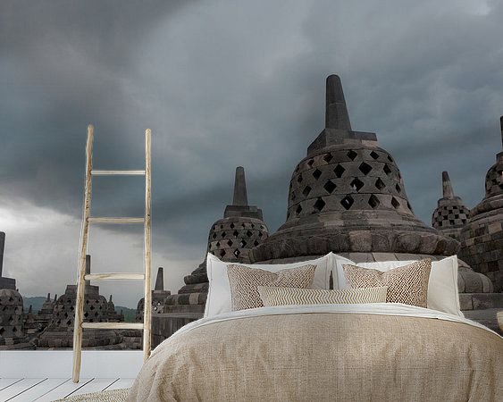 Aperçu de la chambre