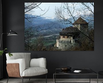 Vaduz Schloss van Richard Wareham