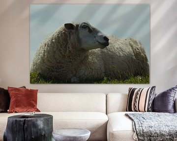 Het schaap op de dijk van Hilde Remerie Photography and digital art