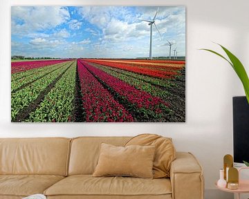 Hollands tulpenlandschap van Bob Bleeker