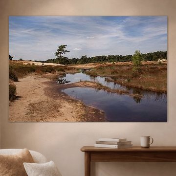 Reflection Veil Clouds in Waterplas Loonse en Drunense Duinen
