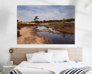 Reflectie Sluierwolken in Watervlakte Loonse en Drunense Duinen van Deborah de Meijer