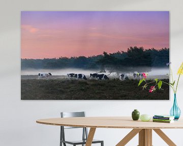 Vaches dans le brouillard sur Dennis van de Water
