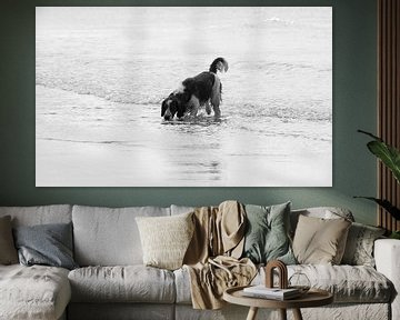 Hond op het strand Zoutelande van MSP Canvas