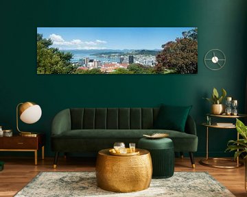 Wellington New Zealand Panorama van Richard Wareham