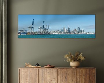 Auckland Haven panorama van Richard Wareham