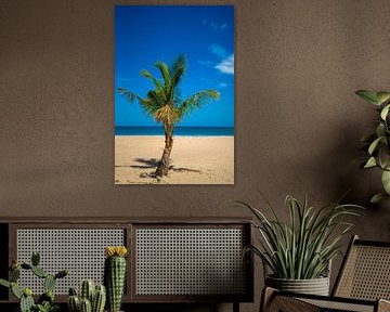 palm op strand, Kalkudah, Sri Lanka