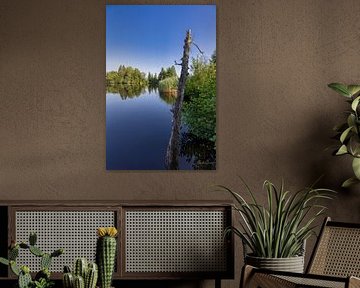 Clarity by Christina Bauer Photos