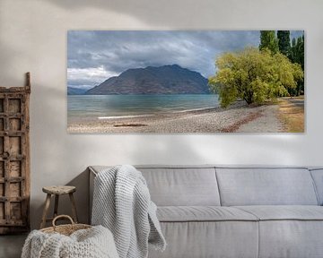 Queenstown panorama by Richard Wareham